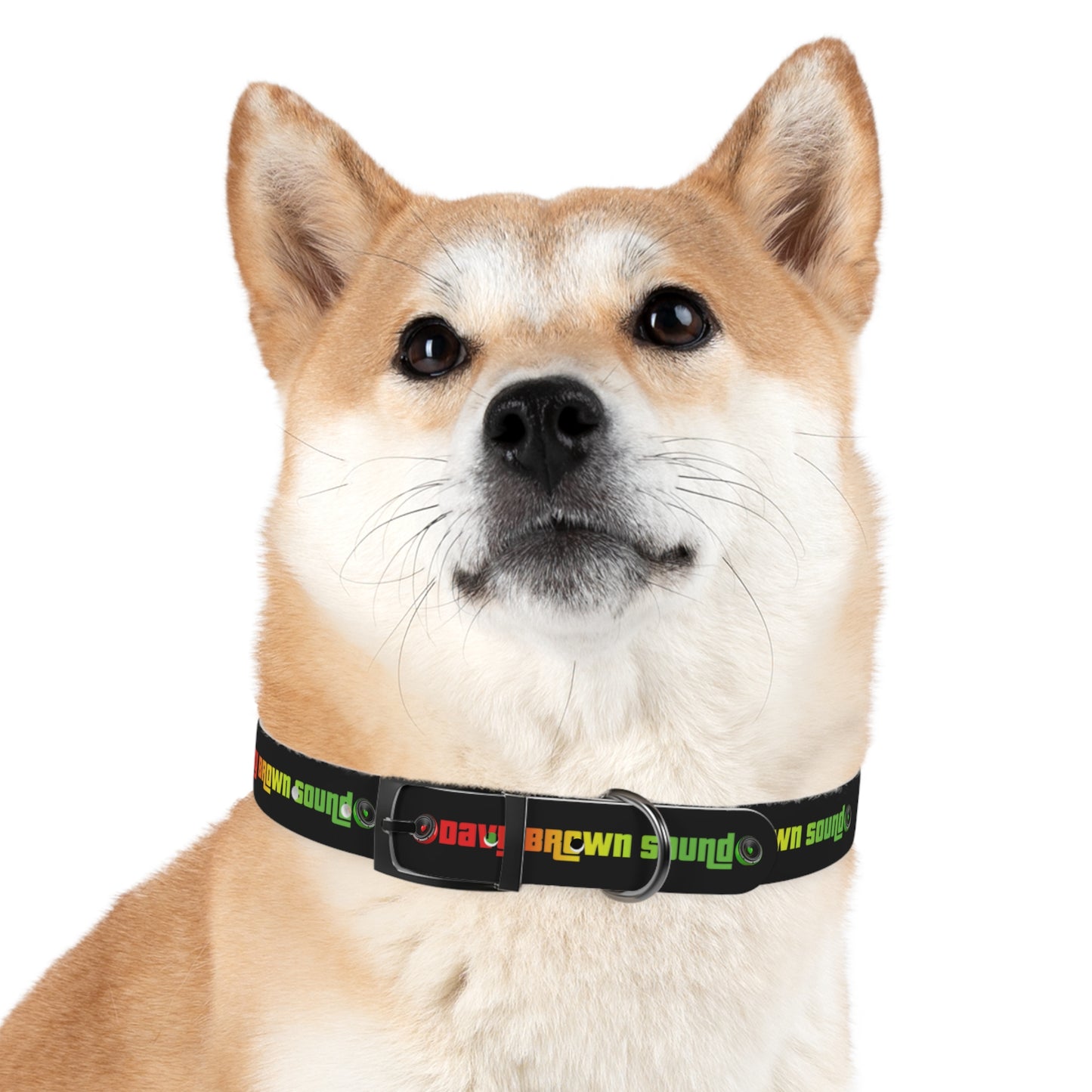 Dog Collar - Horizontal DBS design