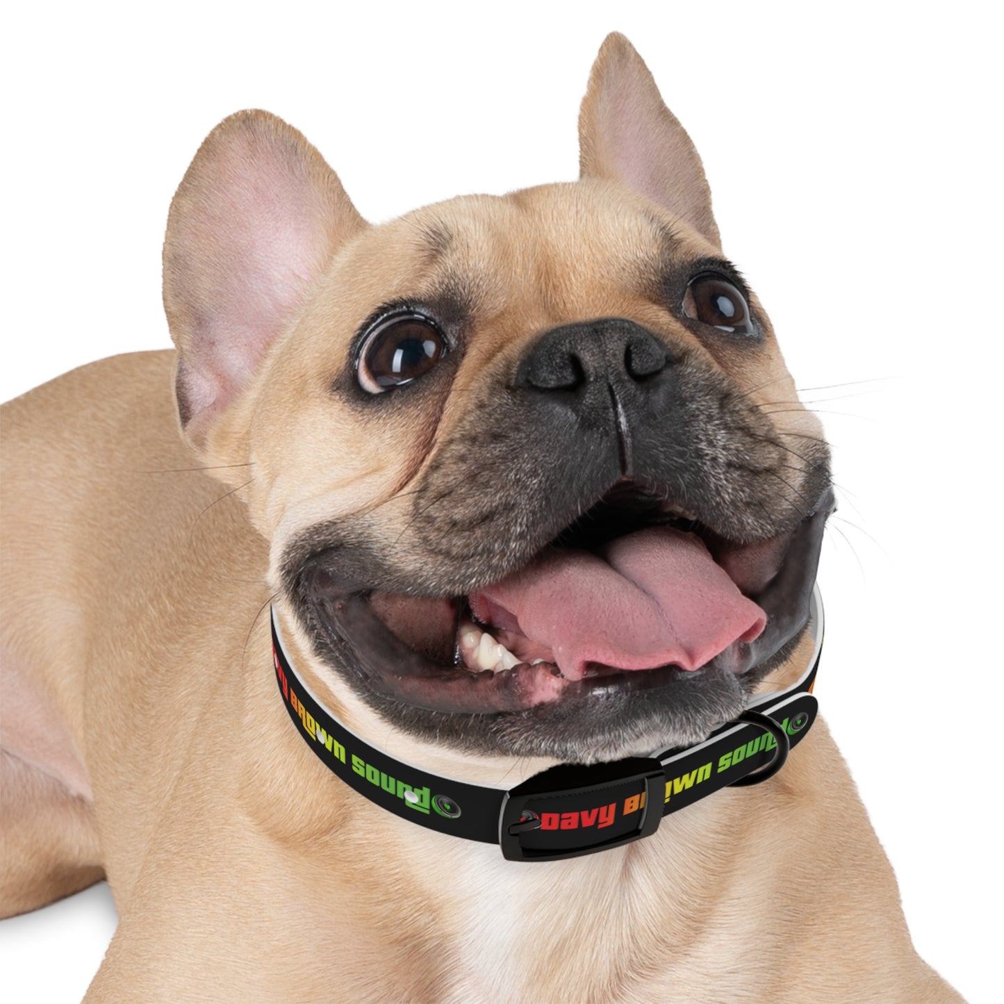 Dog Collar - Horizontal DBS design