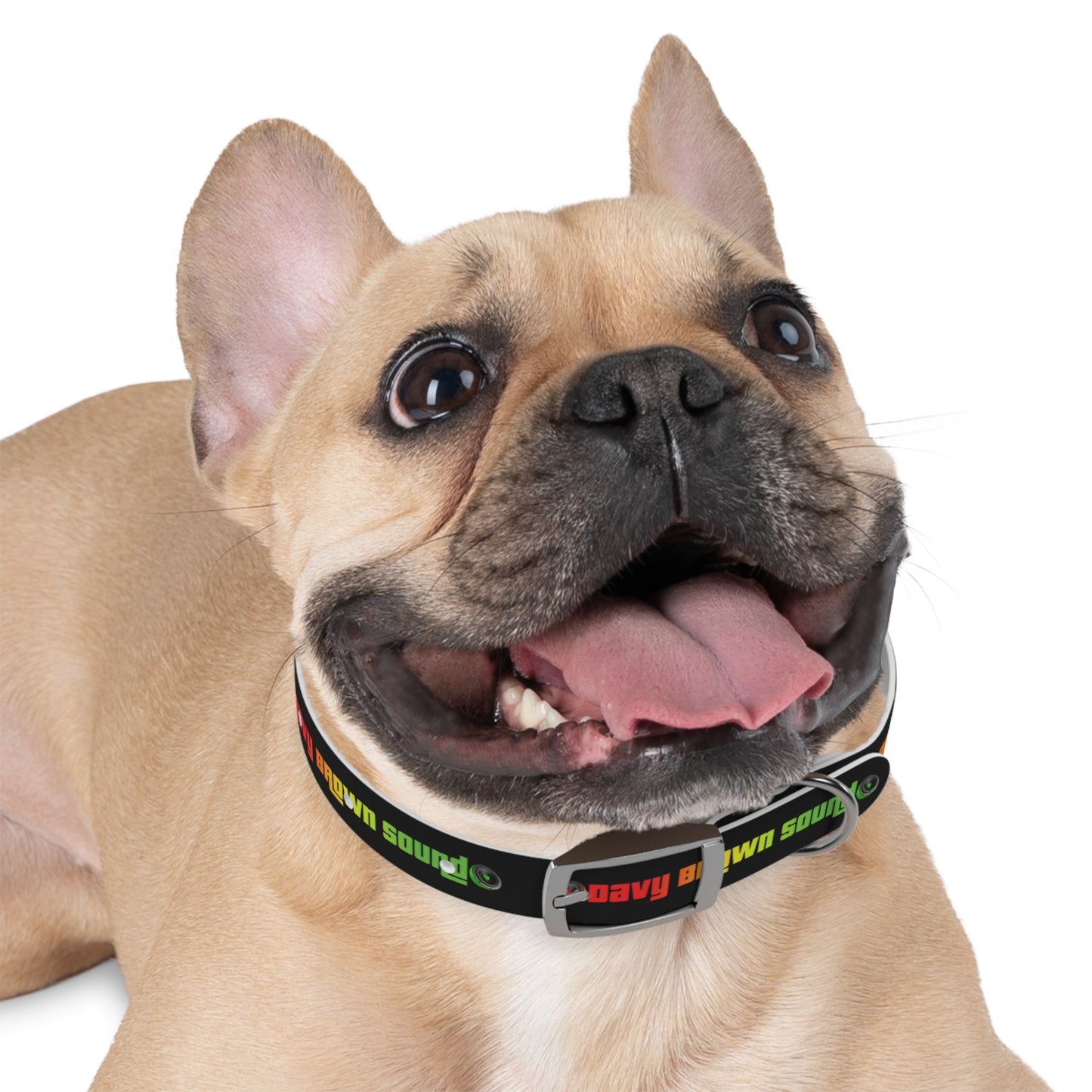 Dog Collar - Horizontal DBS design